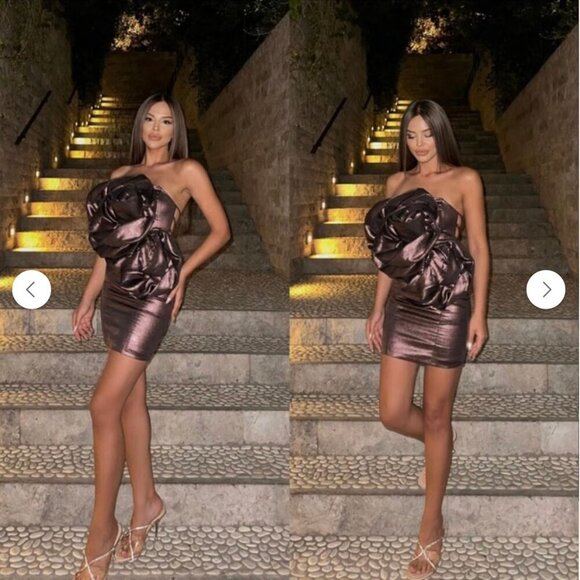 Zara fav blogger flowers voluminous dress Size M NEW WITH TAG! - Picture 2 of 15